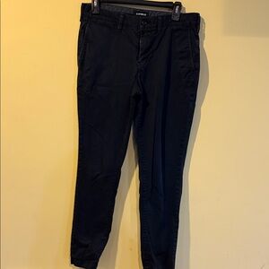 Express Men's Dark Chinos